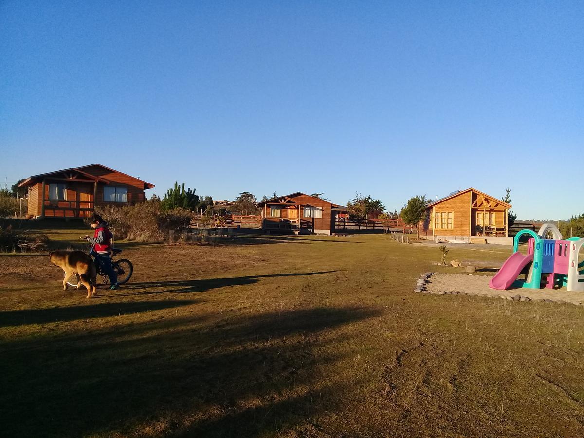 Alojamento Cabana Los Carrera Algarrobo