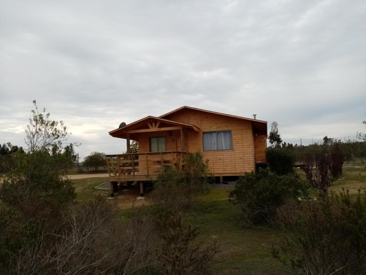 Cabana Los Carrera * Algarrobo